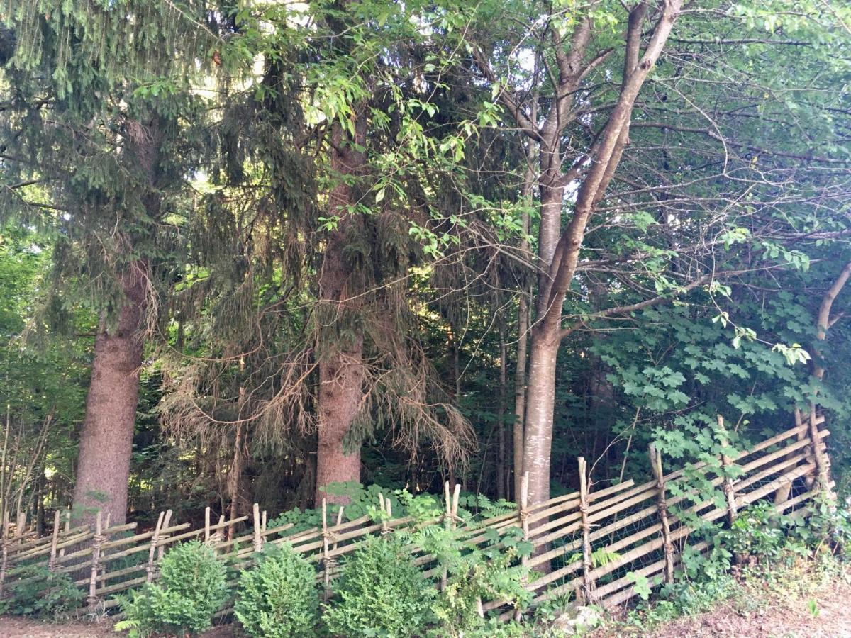 Naturforsthaus Gartenblick Fuer Hunde - Und Naturverbundene Menschen Preitenegg Bagian luar foto