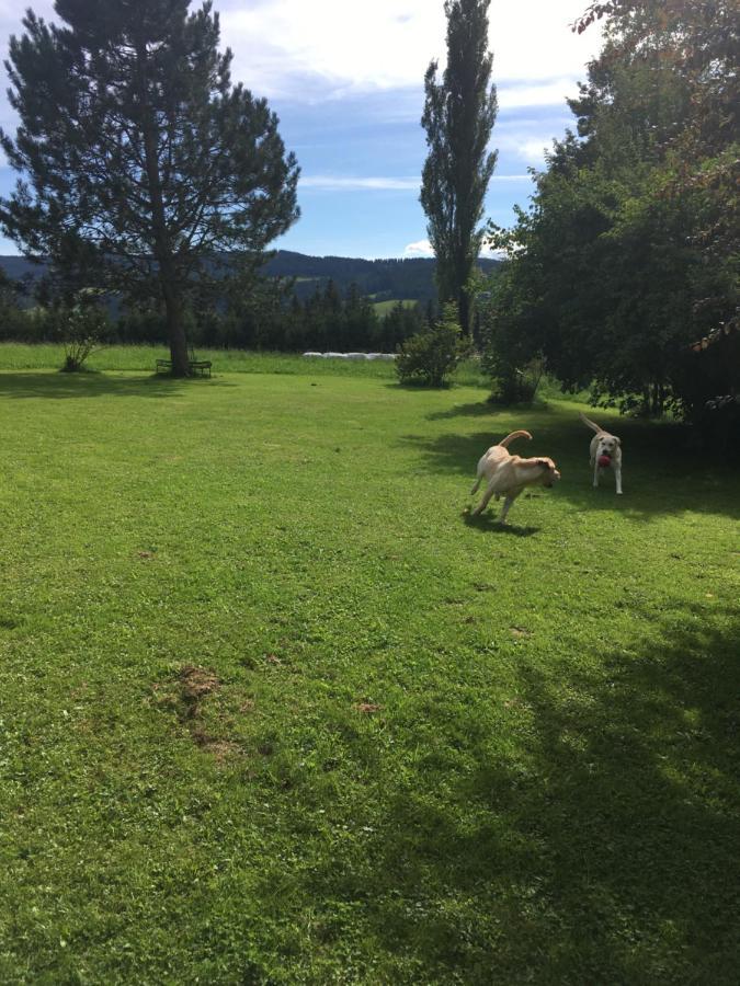 Naturforsthaus Gartenblick Fuer Hunde - Und Naturverbundene Menschen Preitenegg Bagian luar foto