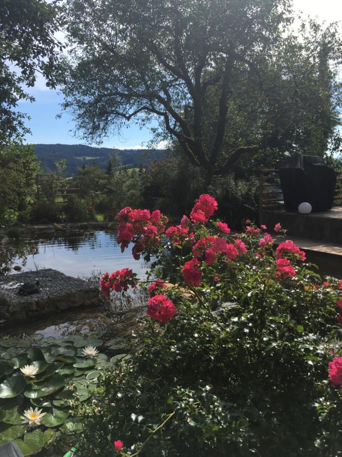 Naturforsthaus Gartenblick Fuer Hunde - Und Naturverbundene Menschen Preitenegg Bagian luar foto